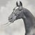Linda Forristall Jensen's profile image