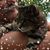 Lori Miller's profile image