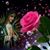 Corina Guartuche's profile image