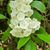 Carolyn Burrus's profile image