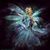 Dianna Plebani's profile image