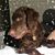 Mickey Fambri's profile image