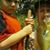 Anthony Rodriguez's profile image