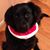 Catherine Sheehy Crean's profile image
