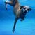 Yvonne Grojean's profile image