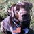 Jim Wiley's profile image