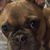 Janice Swiekatowski's profile image