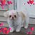 Lenora Swantek's profile image