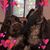 Bernadette Lynk's profile image