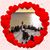 LeeAnn Moegenburg's profile image