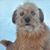 Francesca Mary's profile image