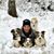 Amanda Armitage Jewart's profile image