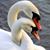 Marta Origuela Suarez's profile image