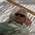 Mike Lotshaw's profile image