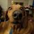 Jennifer Unglesby Cartmell's profile image