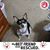 Robin Wilson McClain's profile image