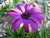 Donna J.'s profile image