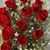 Sandy Celaya's profile image