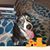Gina Sophia Coghlan's profile image
