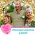 Diane Lucier's profile image