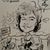 Shirley Rogers's profile image