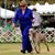 Linda Conversa's profile image
