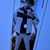 Noah Cook's profile image