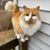 Daveand Laura Bielby's profile image