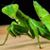 Terry Thoma's profile image
