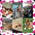 Nichole Bortle's profile image