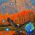 Julie Coe's profile image