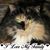 Laurie Salathe's profile image