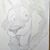 Langel Loaiza Figuer's profile image