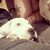 Tina Foren's profile image