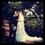 Mariann Minghetti Murray's profile image