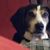 Cheryl Jewell's profile image