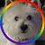 James W. Arenz's profile image