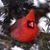 Chris Oosting Bryant's profile image