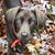 Cinnamon Zielecki's profile image