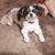 Cheryl Mosher's profile image