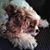 Donna M Martorana's profile image