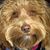 Terry Crandall's profile image