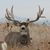 Tommy Thompson's profile image