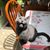 Jackie Baird Lowry's profile image