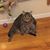Greg Barnard's profile image