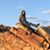 Diane Aubry's profile image