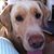 Eileen Stroughter's profile image