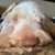 Kacey War's profile image