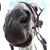Kevin Lewis's profile image