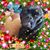 Jacqueline Stine-Kellerman's profile image